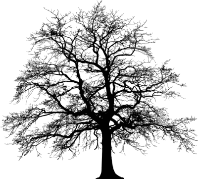 tree pruning wetherby