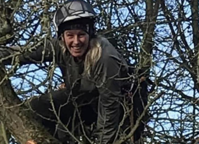 tree pruning wetherby